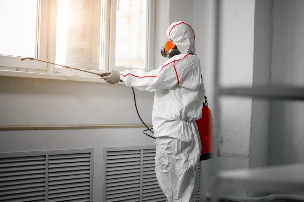 Professional mold remediation services in Cape Canaveral, FL